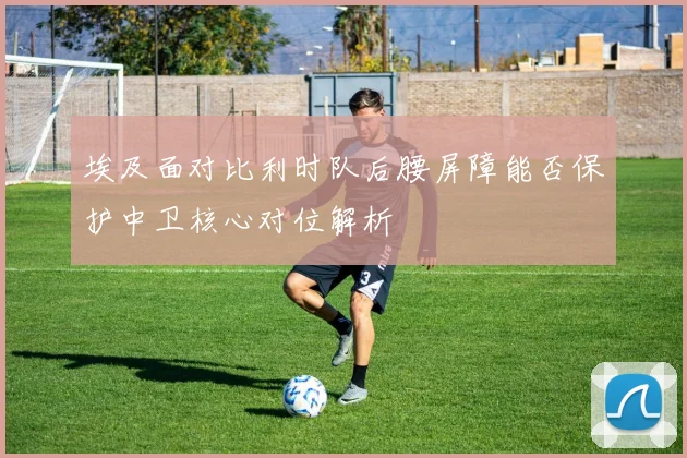 埃及面对比利时队后腰屏障能否保护中卫核心对位解析