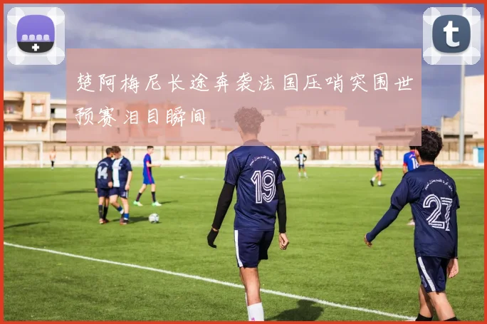 楚阿梅尼长途奔袭法国压哨突围世预赛泪目瞬间
