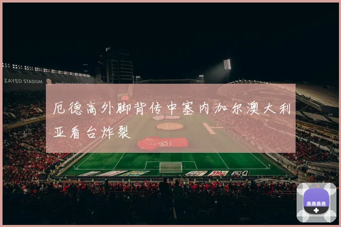 厄德高外脚背传中塞内加尔澳大利亚看台炸裂