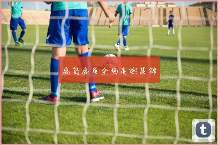 鹿岛鹿角全场高燃集锦