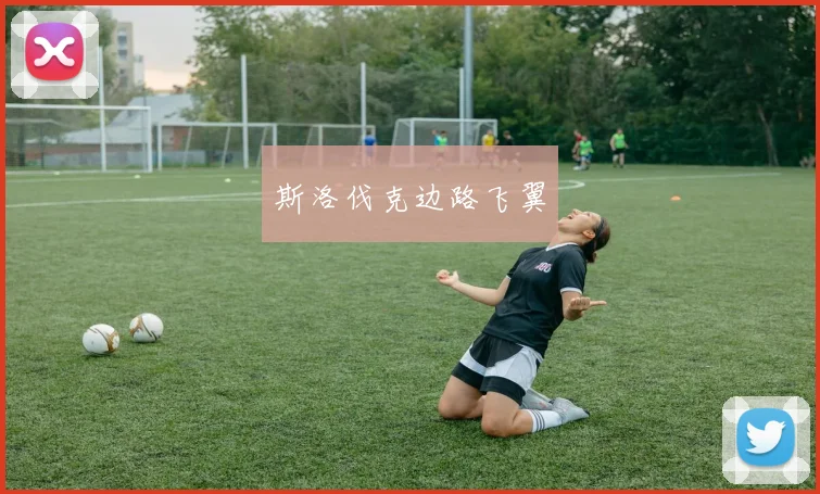 斯洛伐克边路飞翼