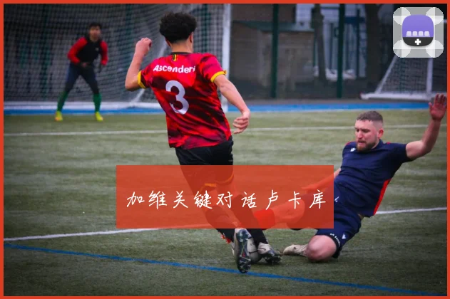 加维关键对话卢卡库