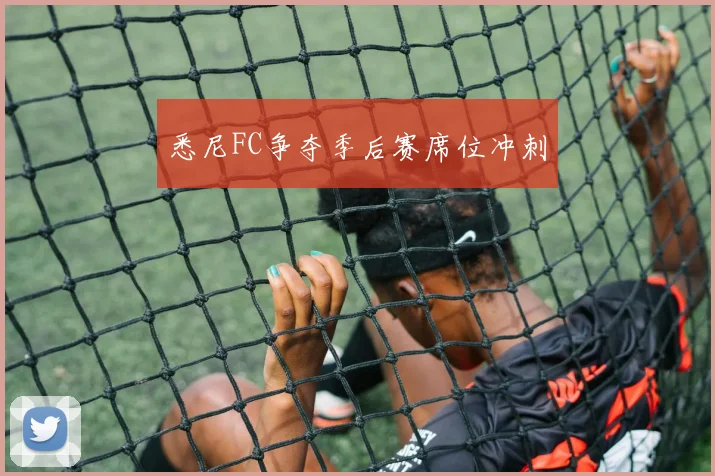 悉尼FC争夺季后赛席位冲刺