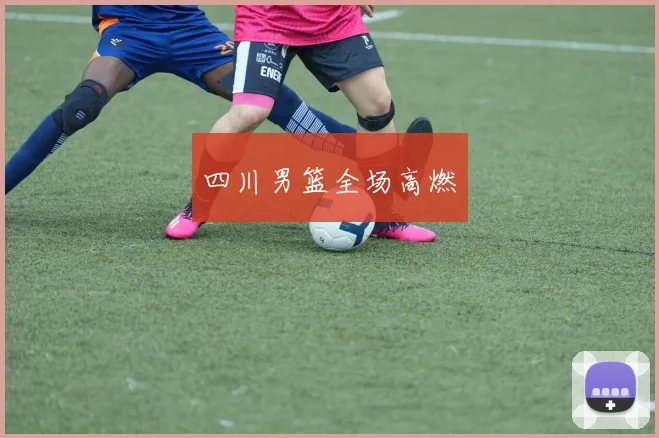 四川男篮全场高燃