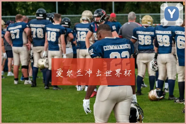 爱尔兰冲击世界杯