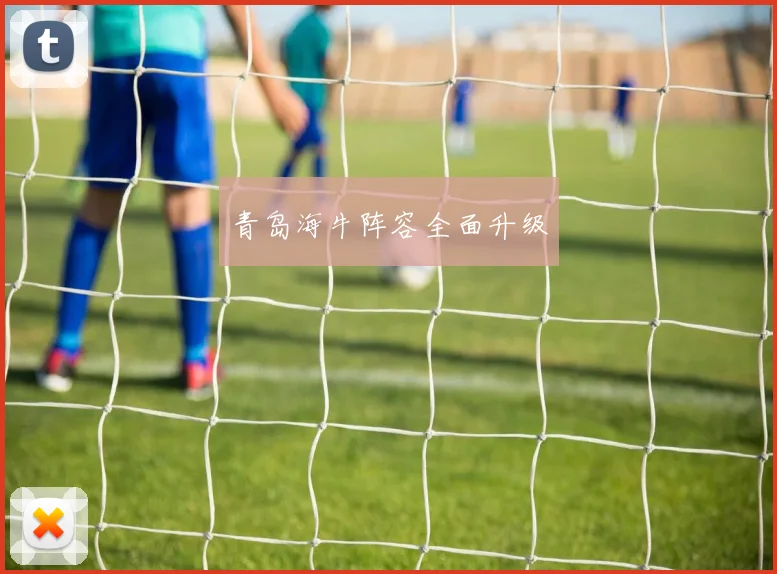 青岛海牛阵容全面升级