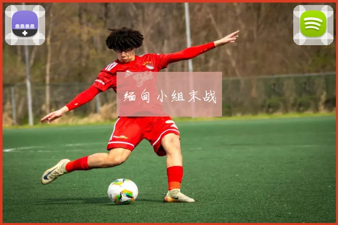 缅甸小组末战
