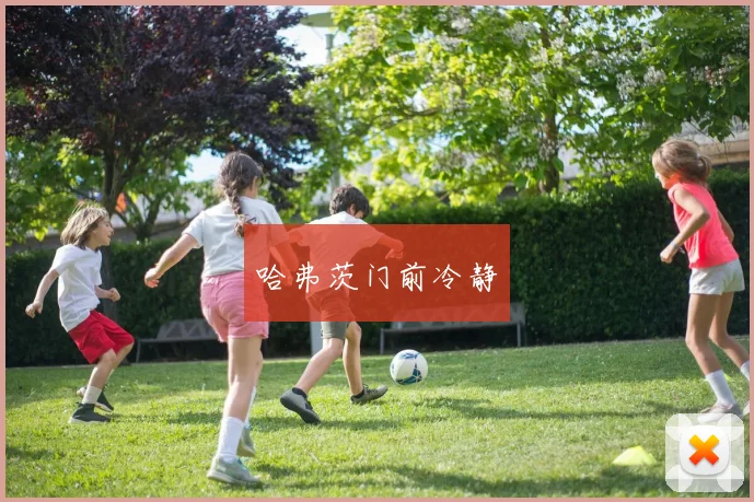 哈弗茨门前冷静