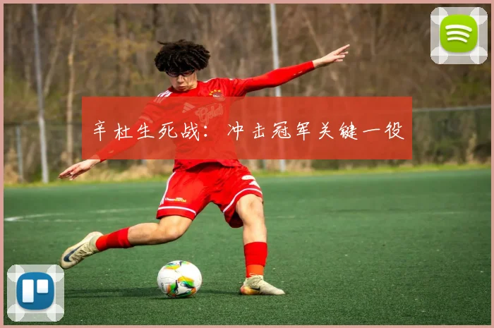 辛杜生死战：冲击冠军关键一役