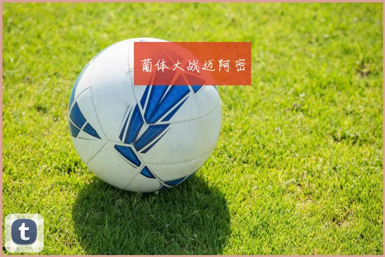 葡体大战迈阿密