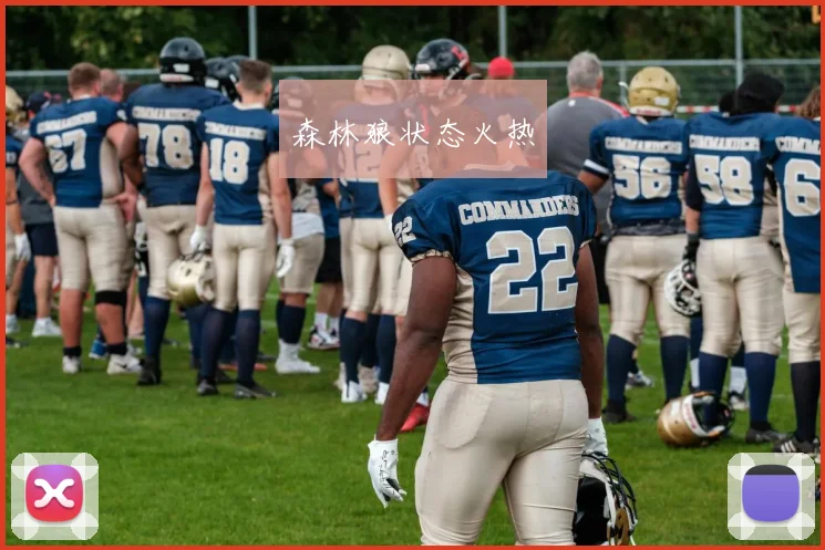 森林狼状态火热