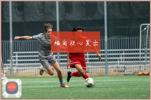缅甸核心复出