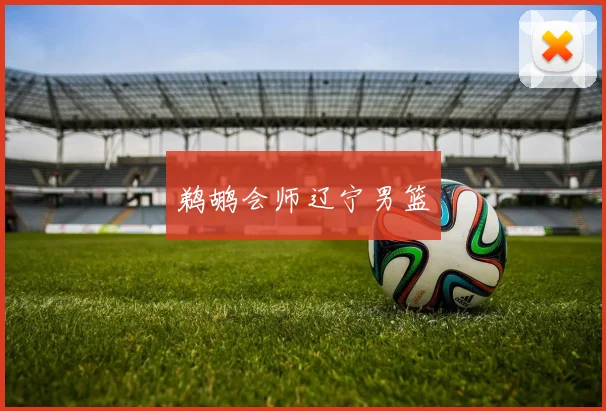 鹈鹕会师辽宁男篮