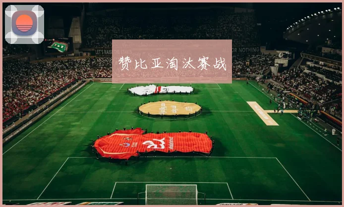 赞比亚淘汰赛战