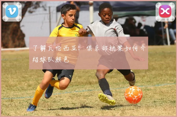 了解瓦伦西亚：俱乐部档案如何介绍球队颜色