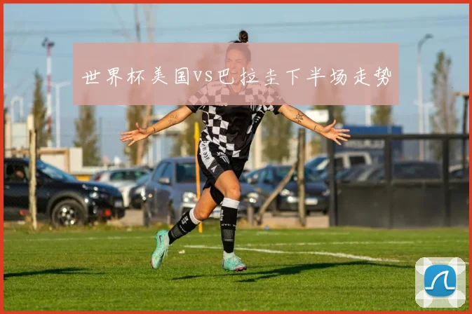 世界杯美国vs巴拉圭下半场走势